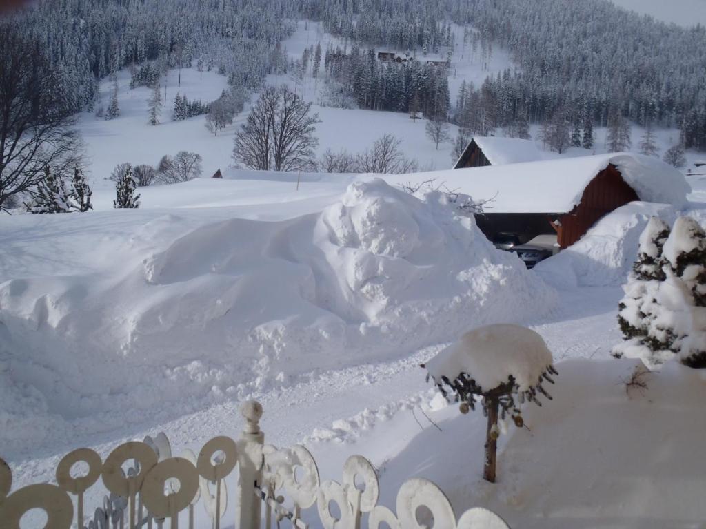 Aparthotel Pfeffermuehle Ramsau am Dachstein Exterior foto